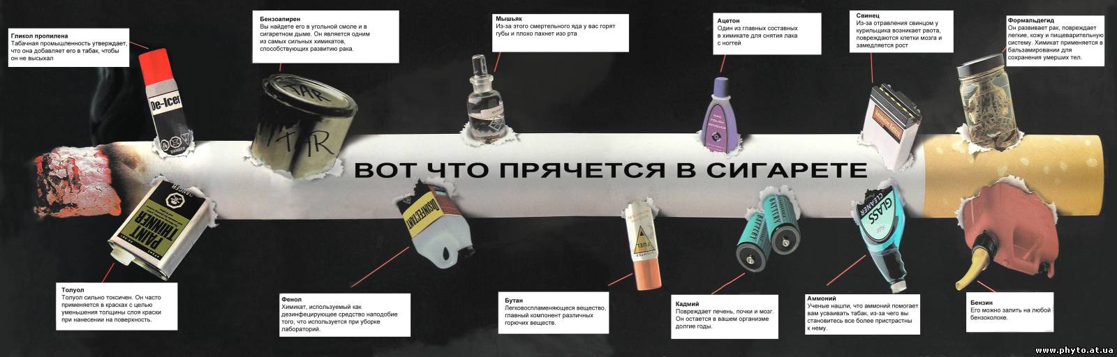 18 ноября 2021 года — Всемирный день некурения. Профилактика онкологических  заболеваний | Брестское областное управление Департамента охраны МВД  Республики Беларусь