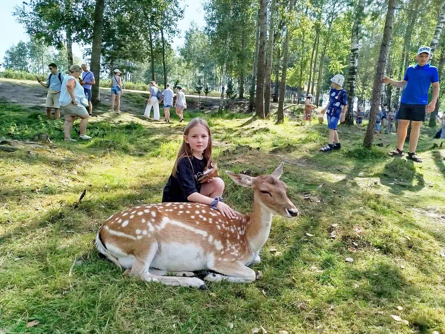 1.jpg 1.jpg