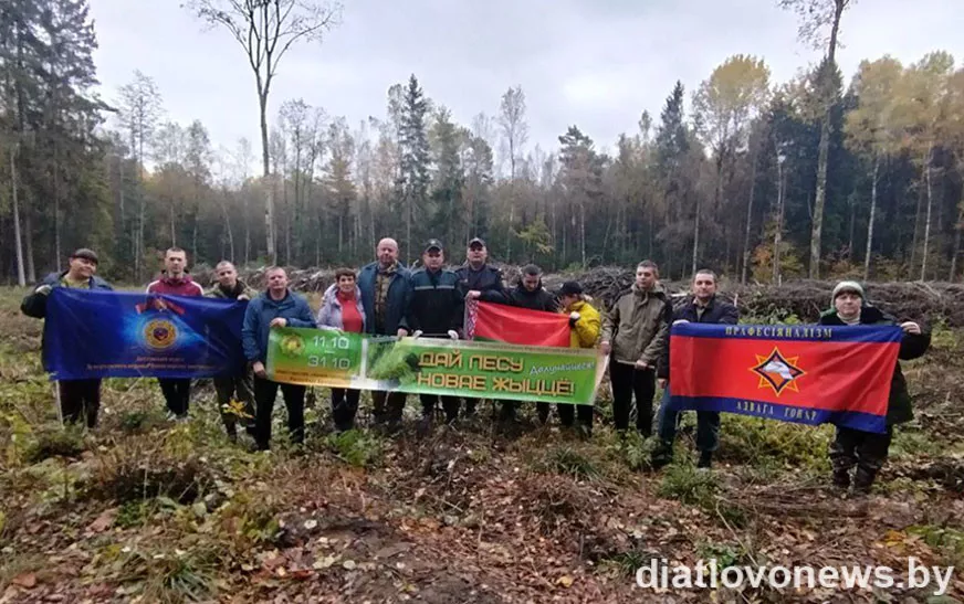 Дятлово 1.jpg
