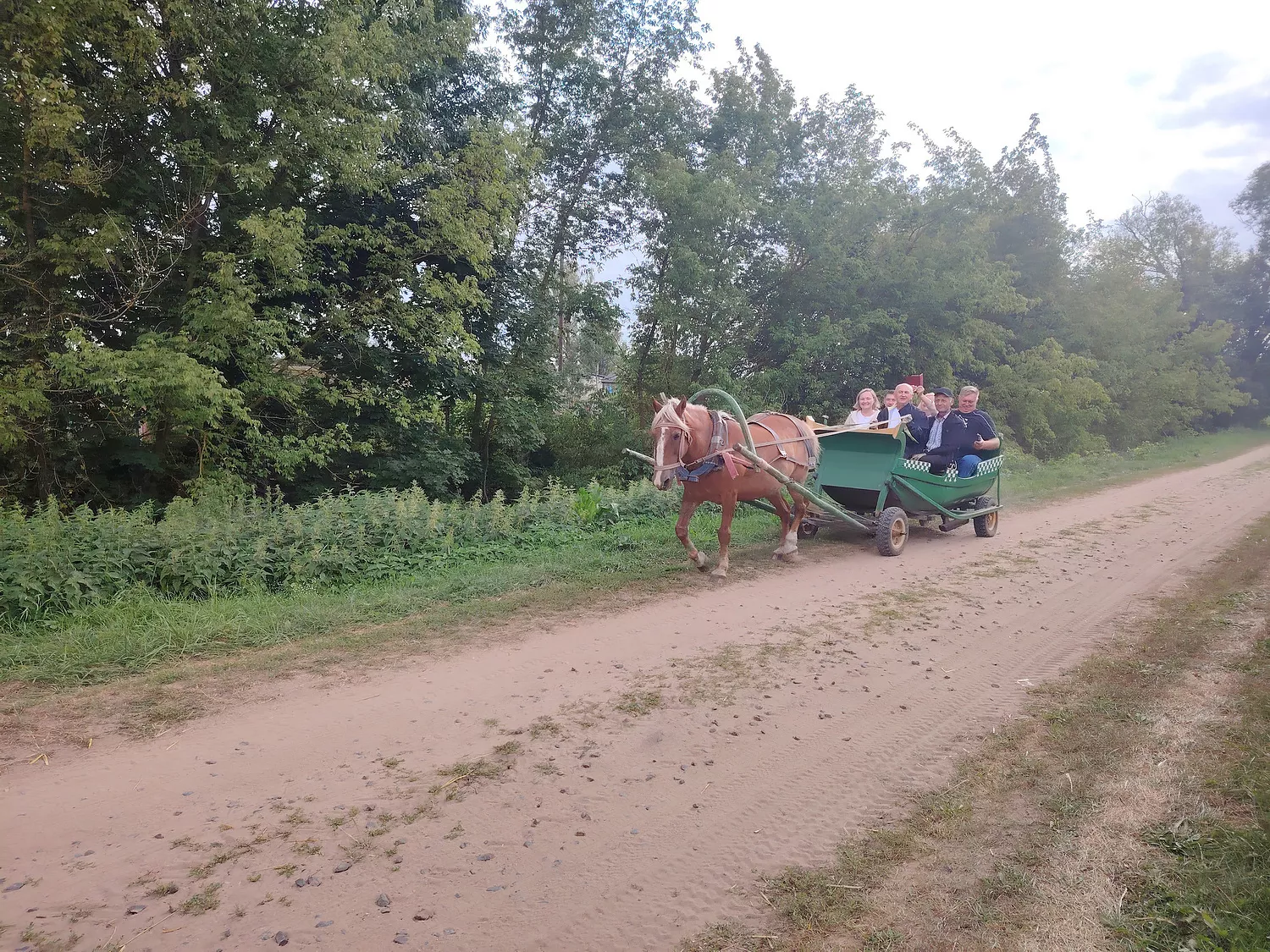 5.jpg