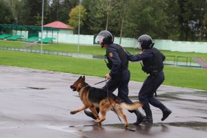 IMG_2941