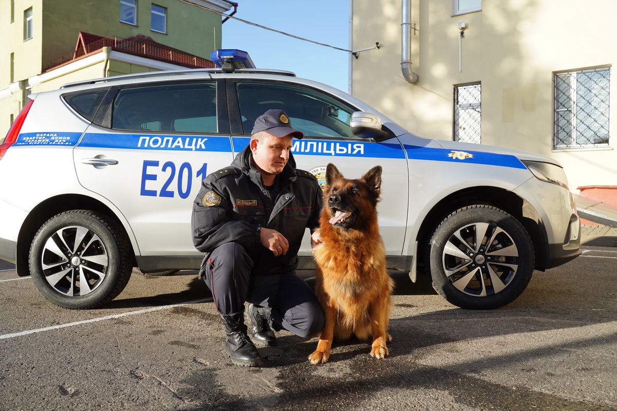 29 октября - День образования подразделений охраны Министерства внутренних  дел | Витебское областное управление Департамента охраны МВД Республики  беларусь