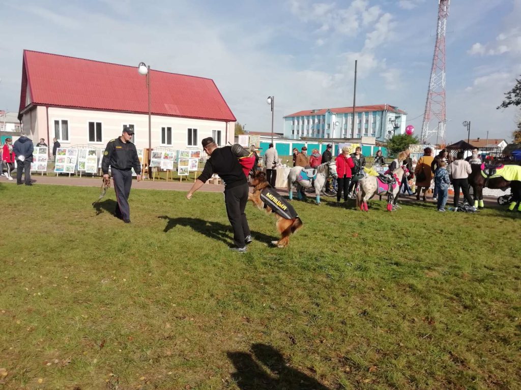 IMG-4e659983d4b799c095949291c374088d-V