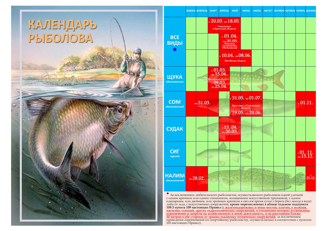 Рыболовный календарь волгоградской