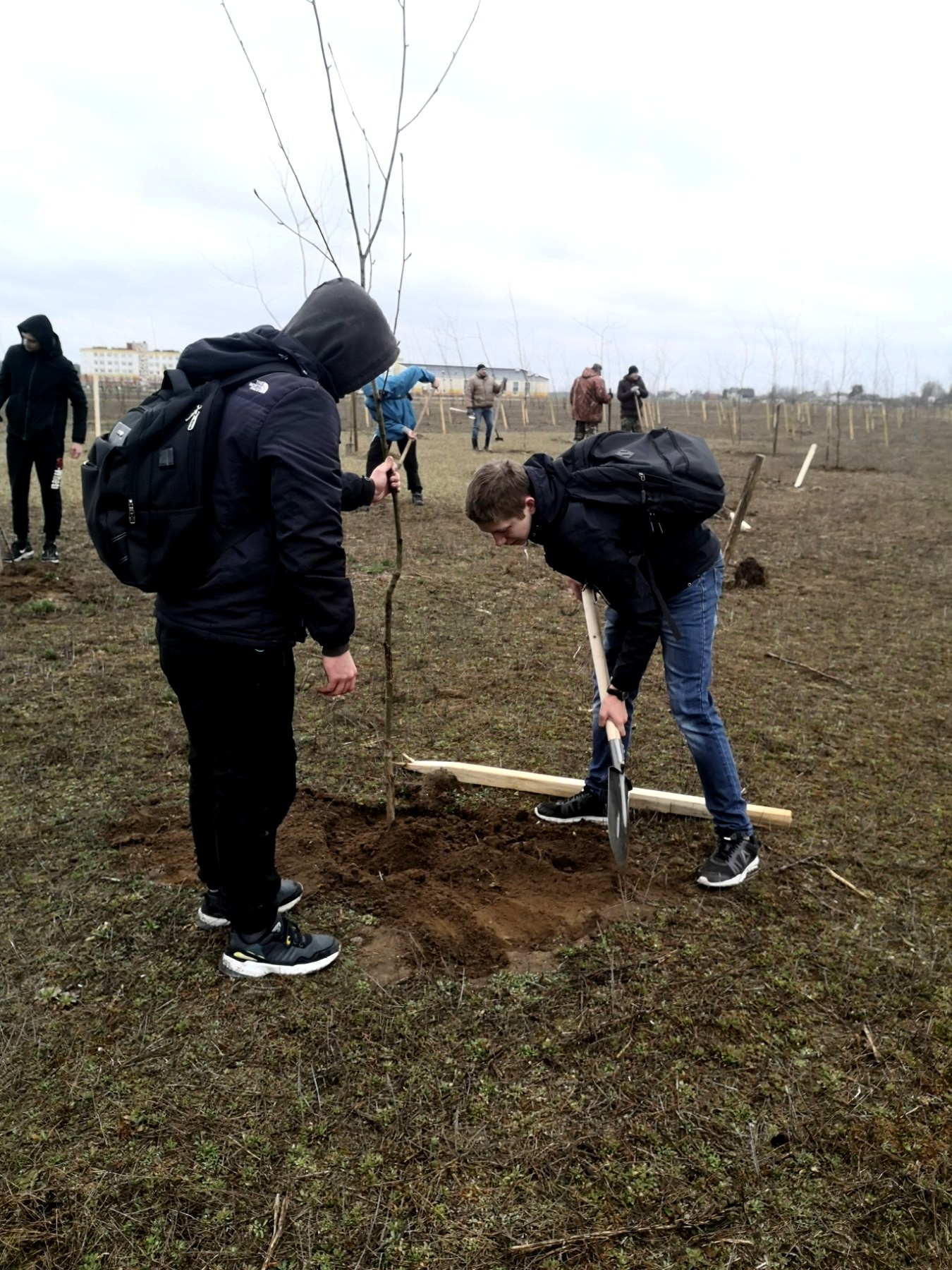 IMG-3f6fd80b36c6646a2128ac2ad1cb8c43-V